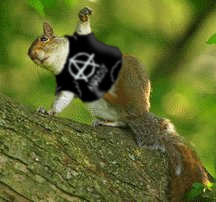Anarchy Squirrel