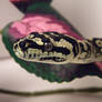 Carpet Python 1