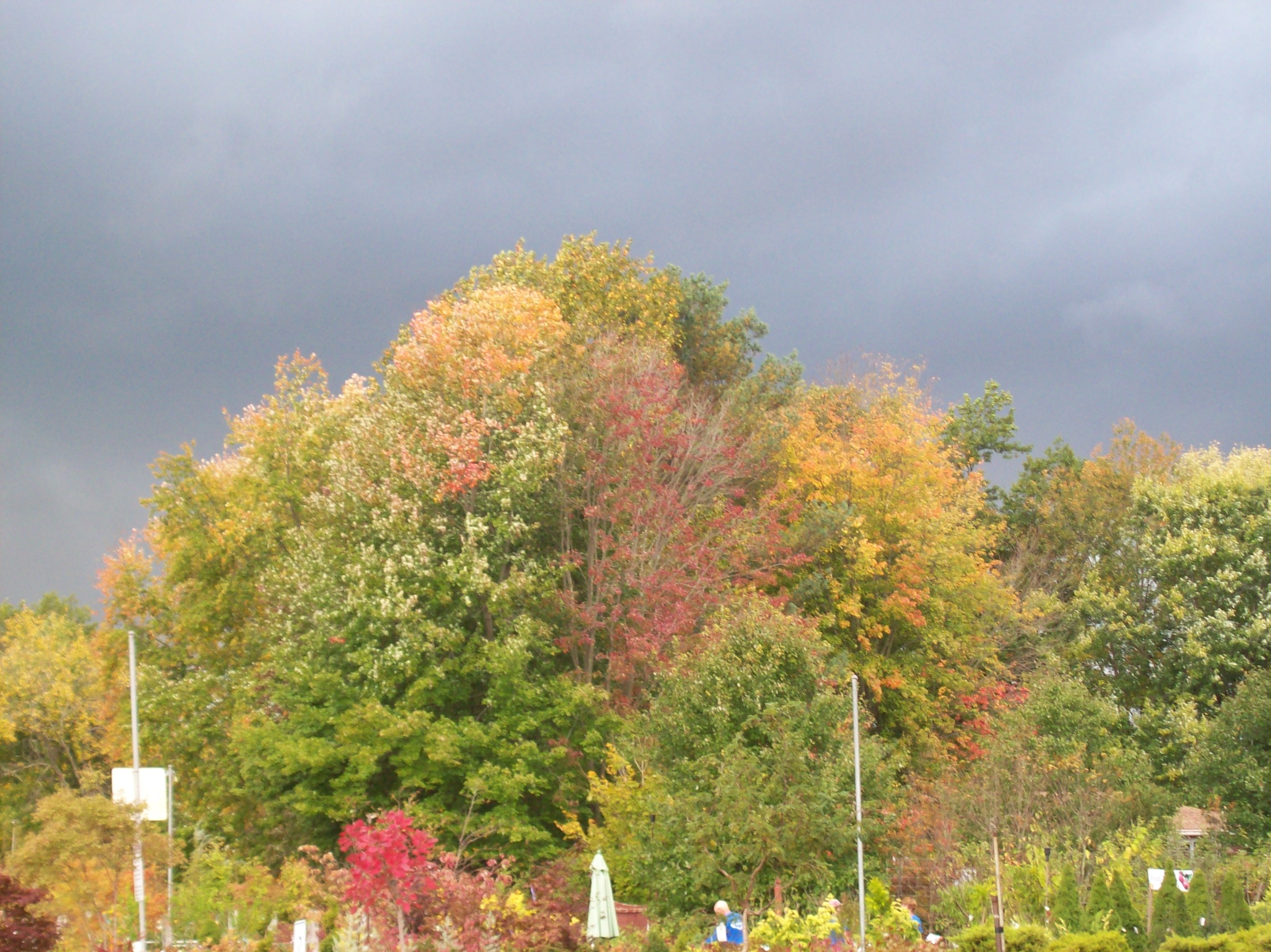 Fall Foliage - and Ominous Skies