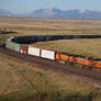 BNSF In Montana 2