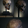 Trophy of enemy, decorated object 03