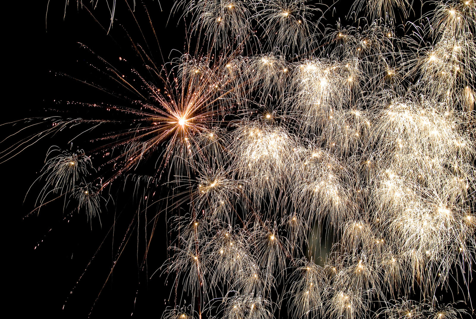 Fireworks 7-4-2010 No.11 STOCK