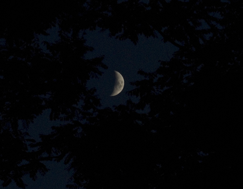 Moon Over Clearfield