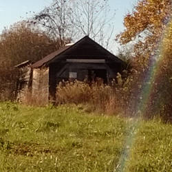 abandoned shed