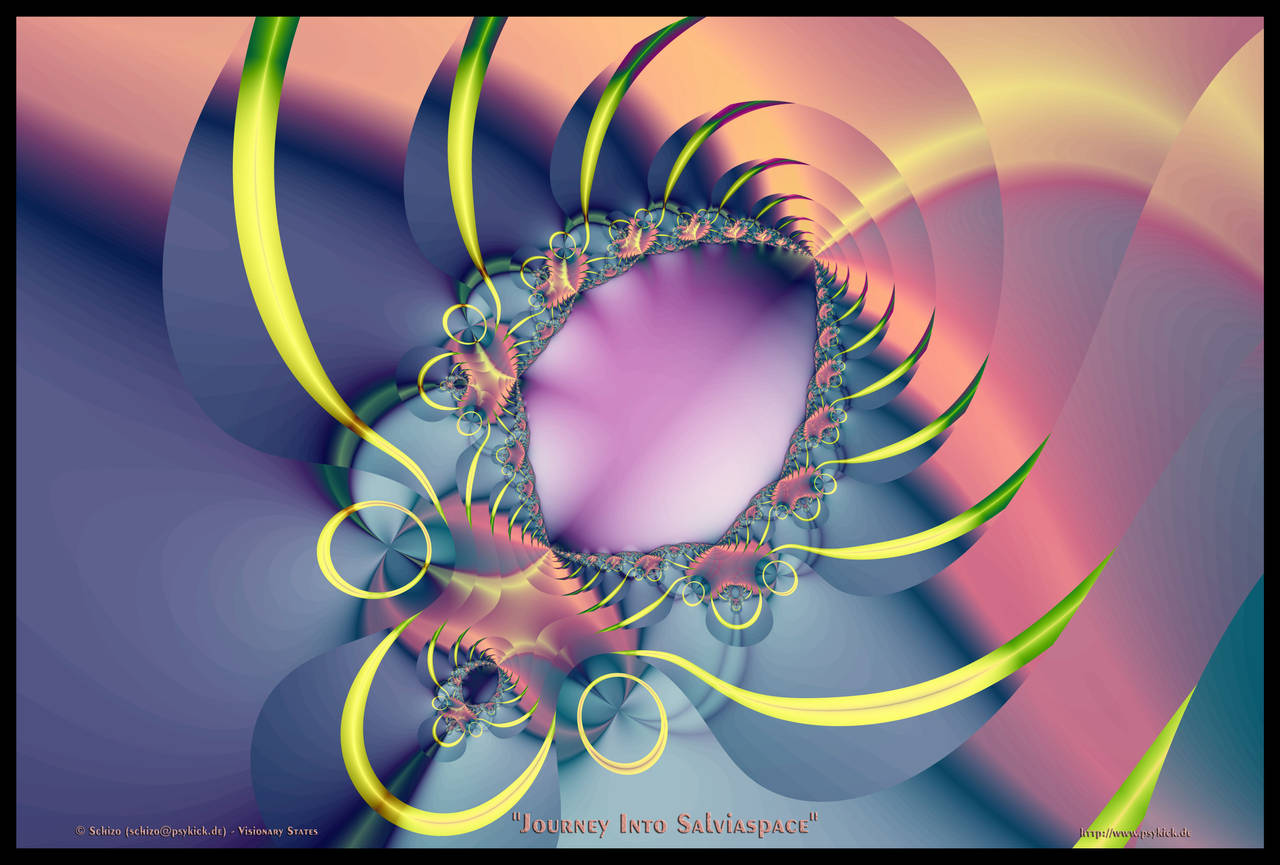 Journey into Salvia Space by schizo604