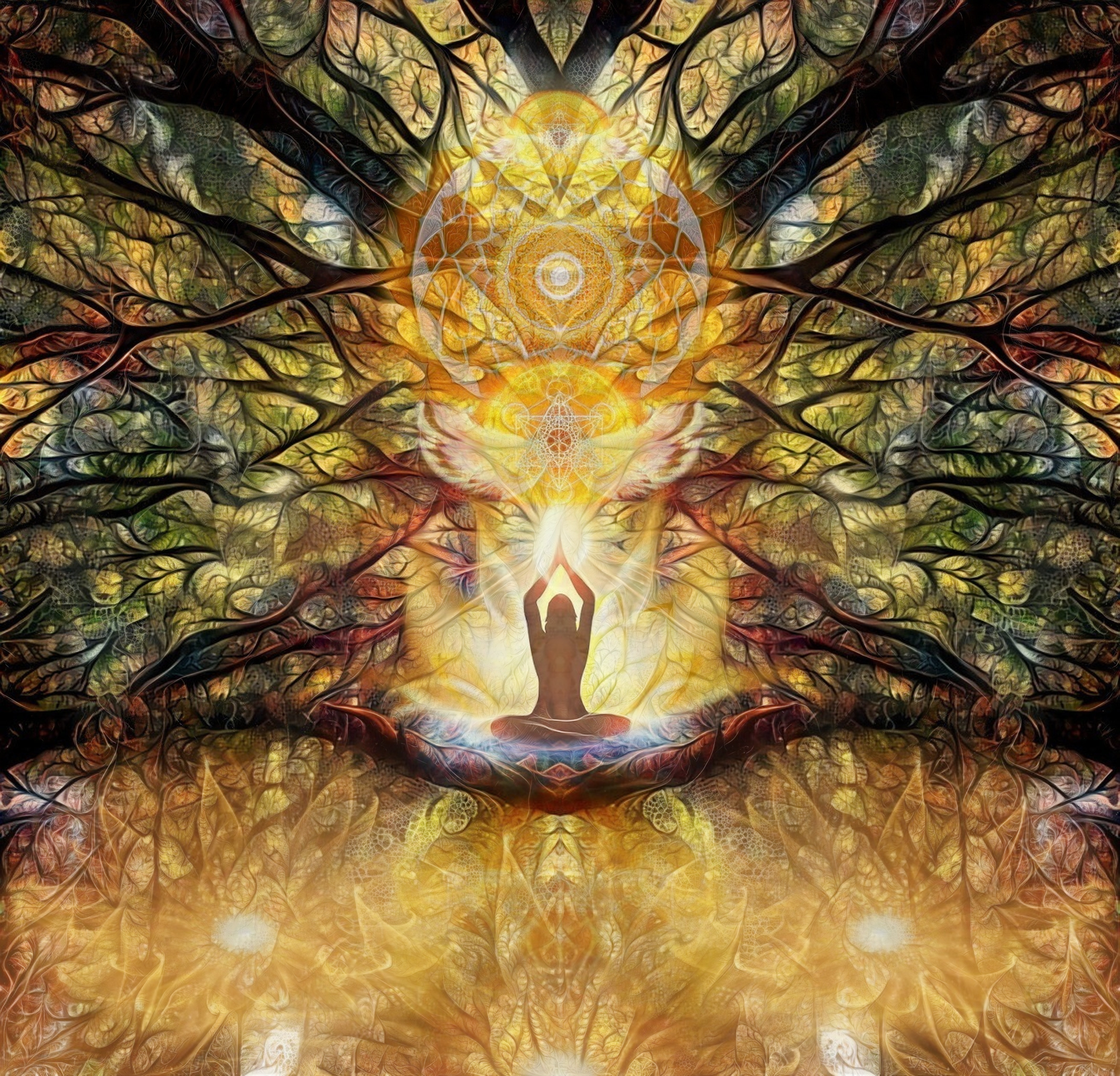 Suntree
