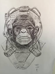 Space Monkey