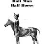 Half Man Half Horse Illustrated Typography Print