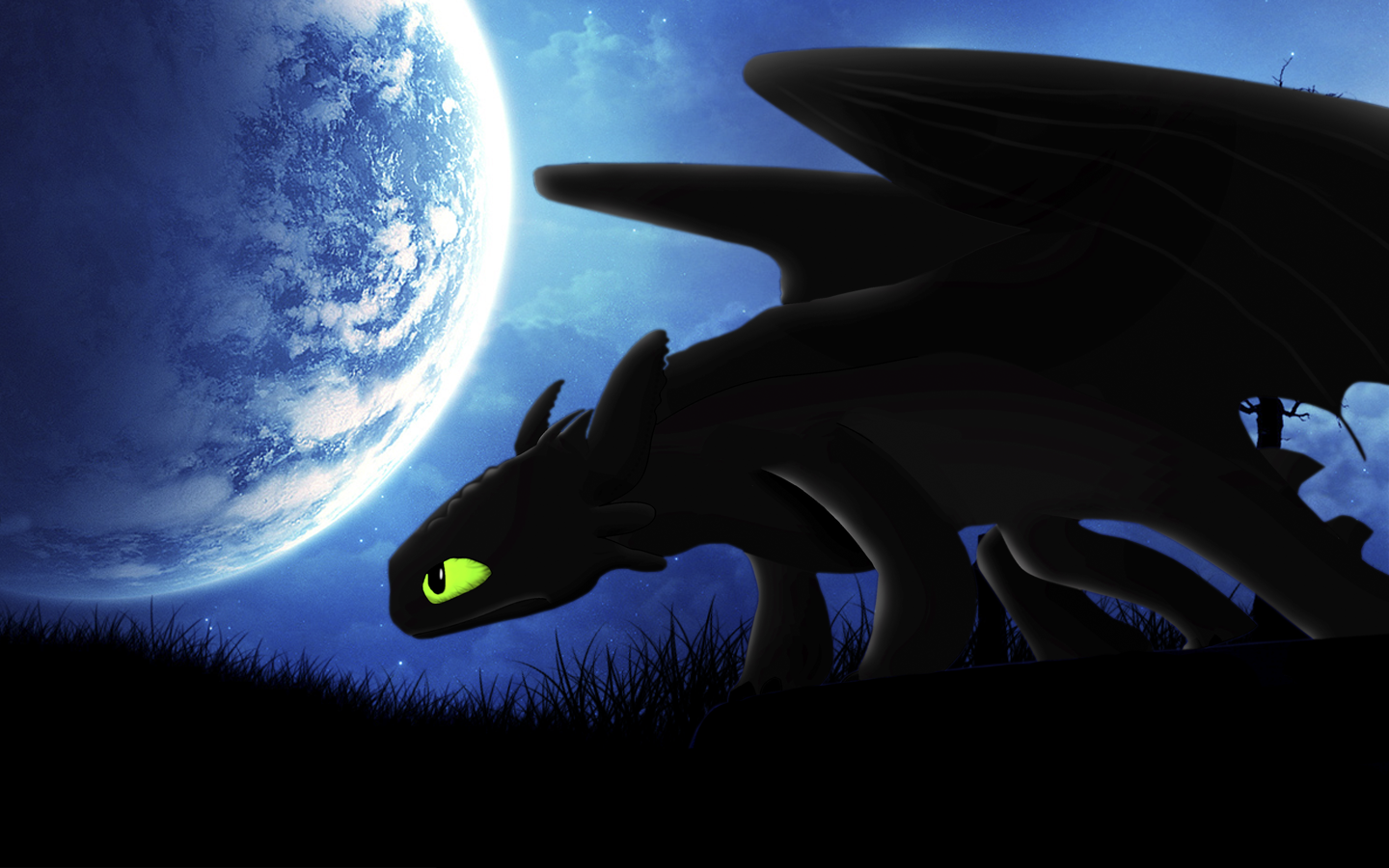 Night online fury wallpaper