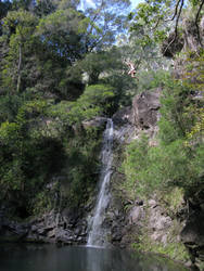 Water Falls, People Jump