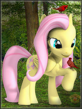 -Fluttershy-