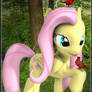 -Fluttershy-