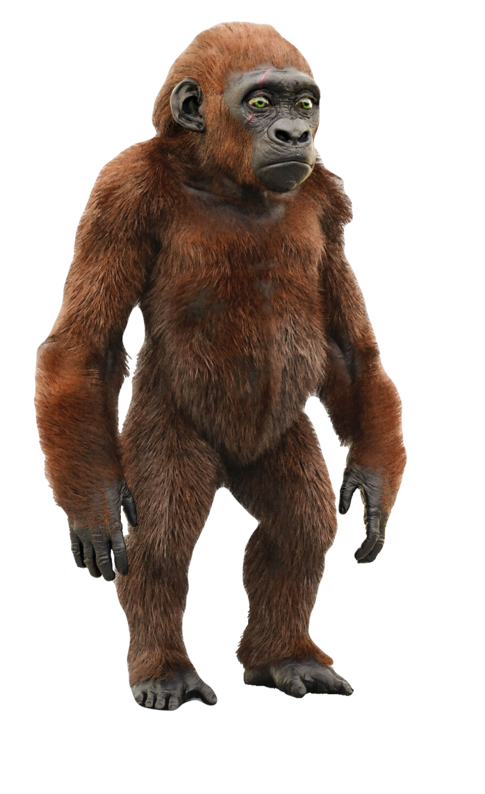 suko (transparent) by kinggemini2025 on DeviantArt