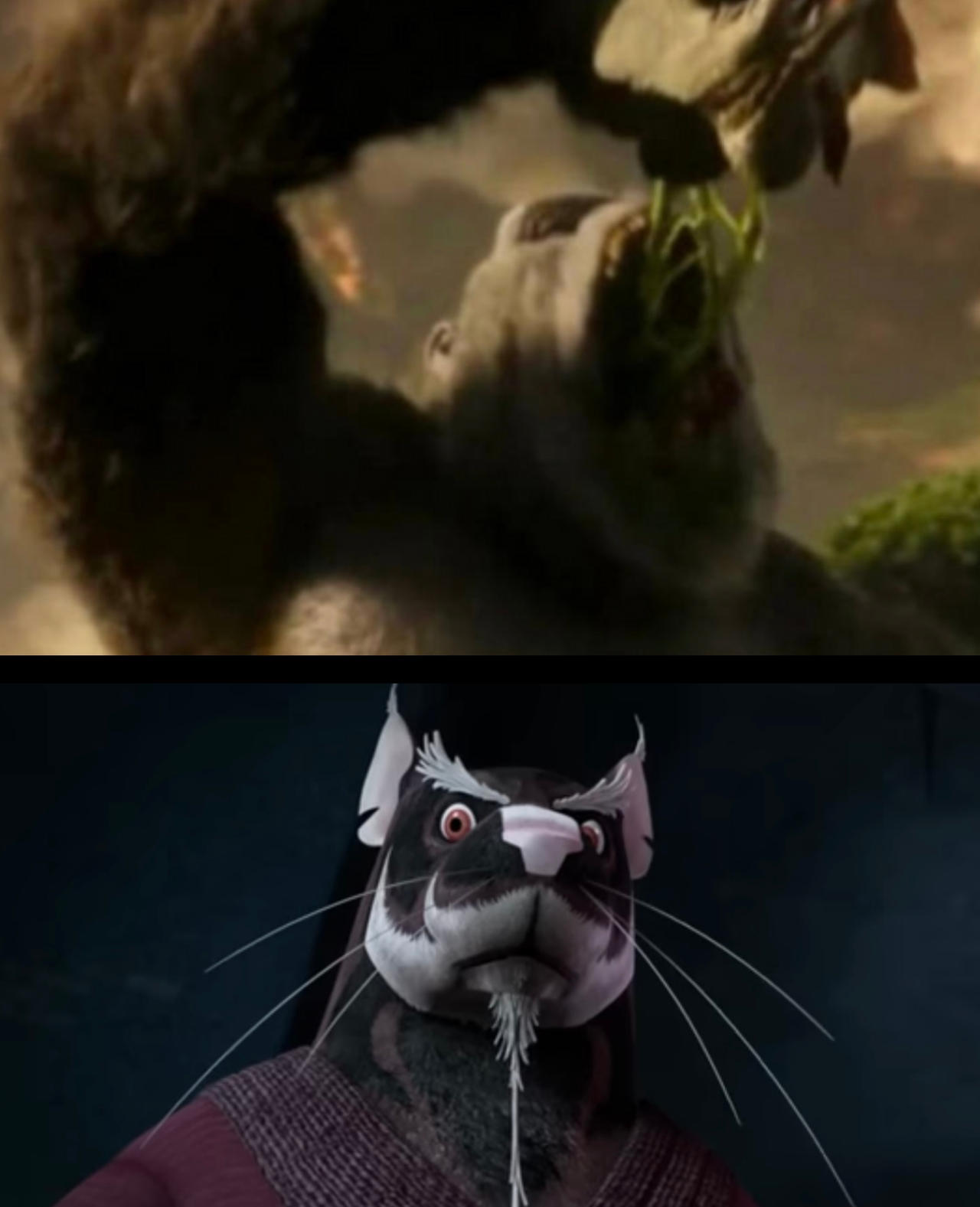 Evil Master Splinter 2012 master splinter reacts to kong eating warbat by kinggemini2025 on ...