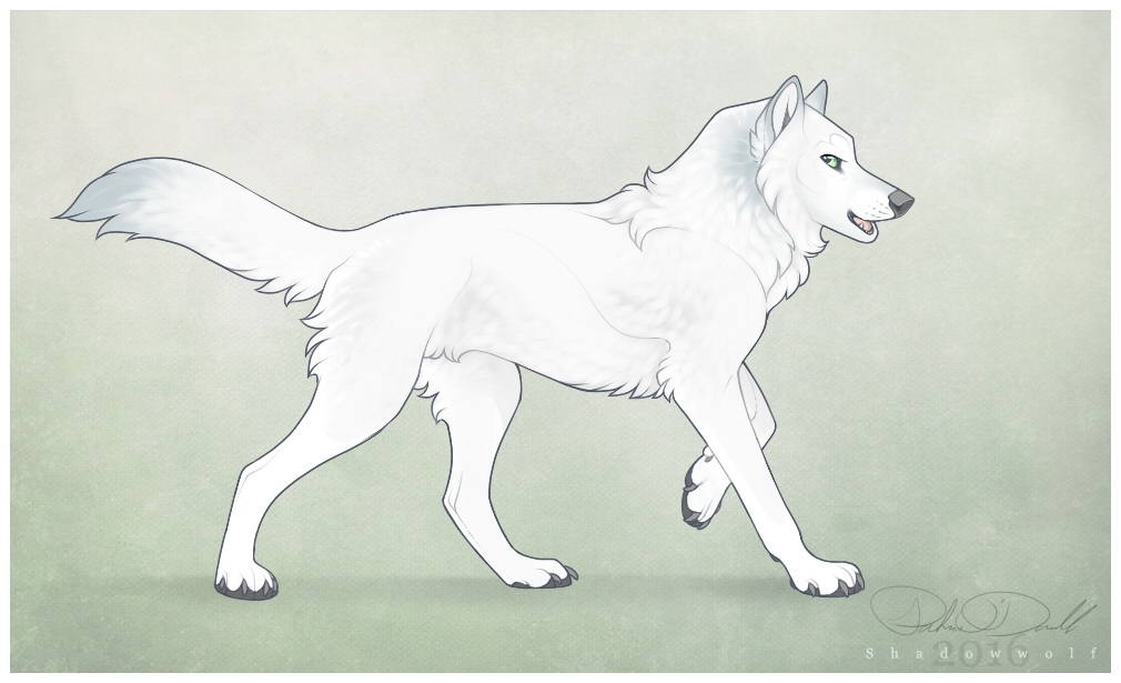 Winterpaw by Shadowwolf