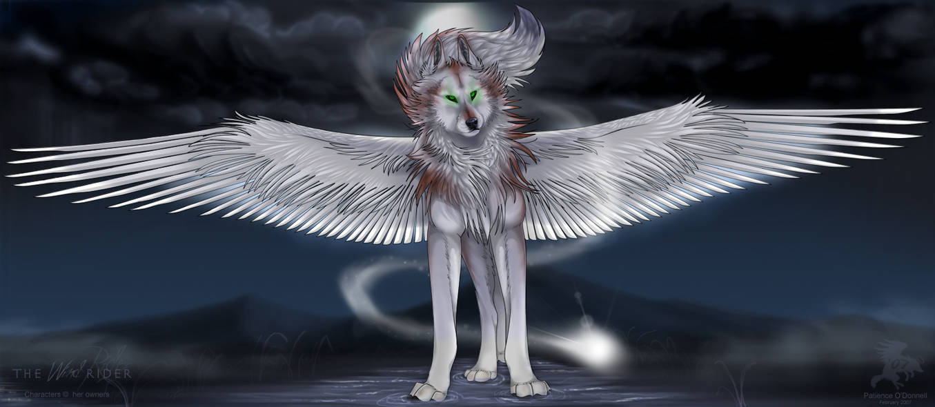 The Wind Rider by Shadowwolf on DeviantArt