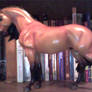 spirit stallion breyer