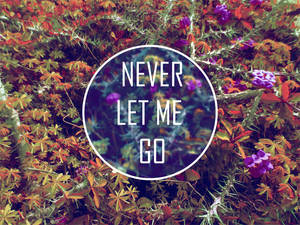 Never Let Me Go