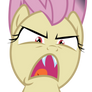Flutterbat Angry Face