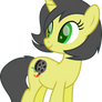 Pauly Sentry