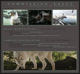 COMMISSION SHEET -- Open