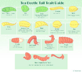 Tea Beetle tail guide by Peachesprout