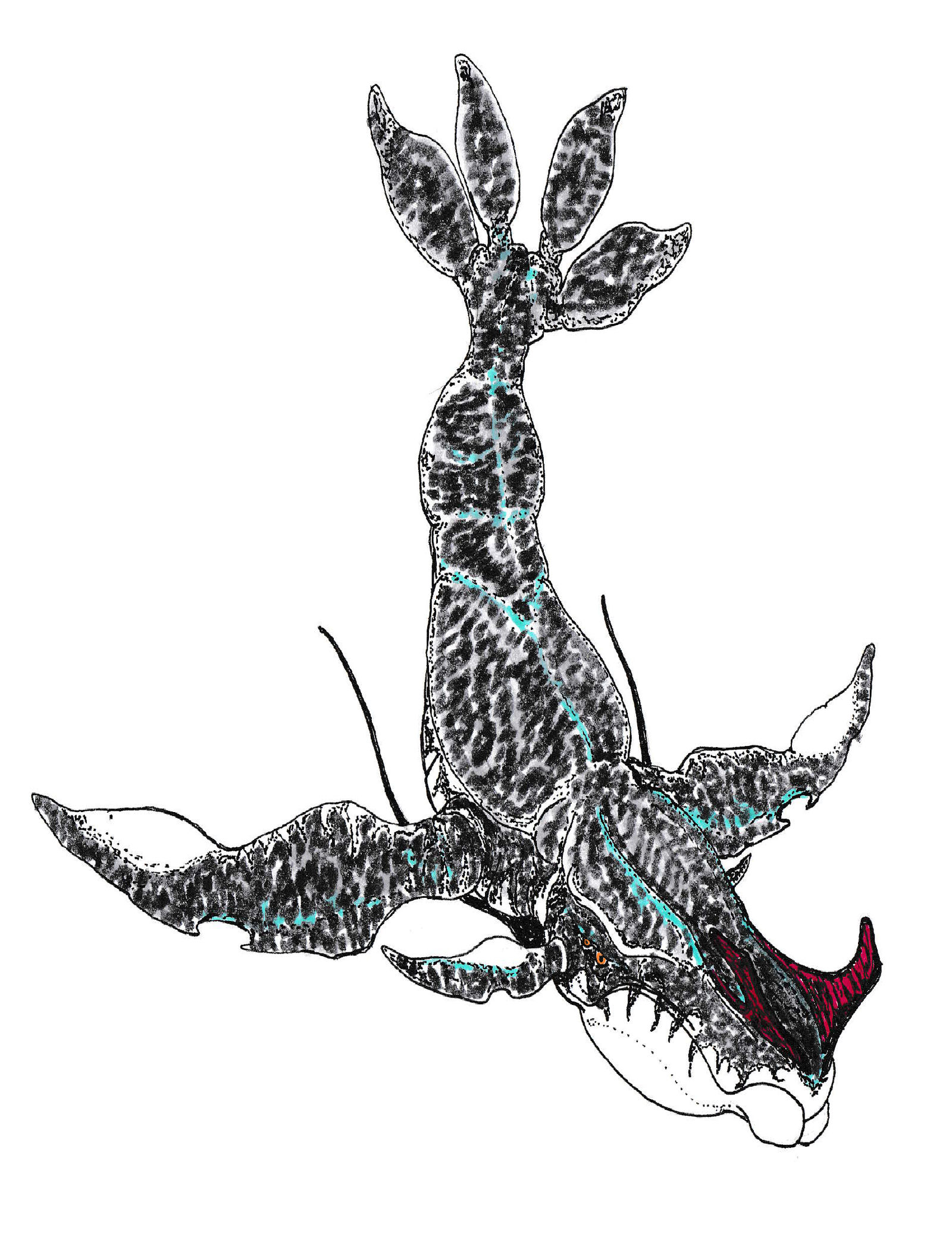 Tulkun by ImNtDead on DeviantArt