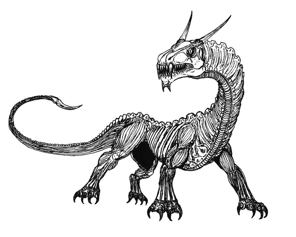 Vector Shadow Drake Shadow Guant Drake by ImNtDead on DeviantArt