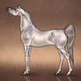 Lubna