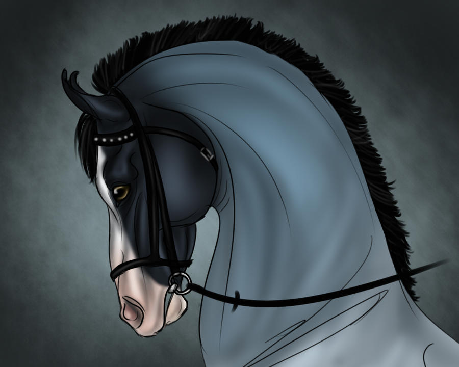 Arched By Ixtiramm On DeviantArt
