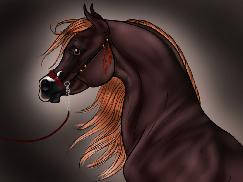 Limitless By Ixtiramm On DeviantArt