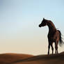 Desert Child
