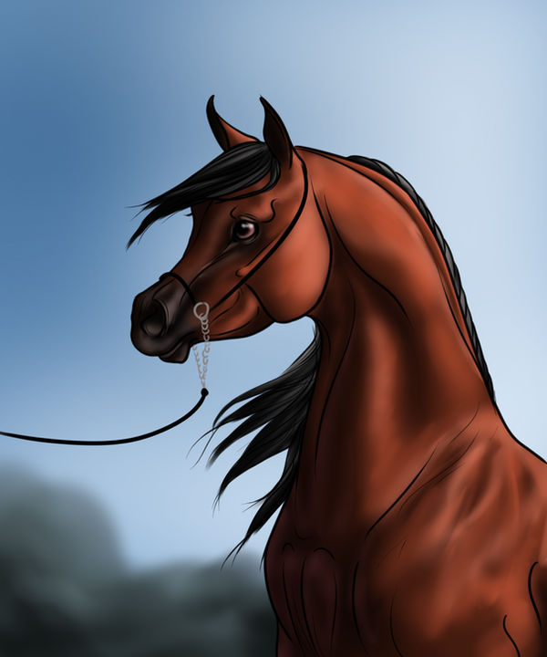 Pride By Ixtiramm On DeviantArt