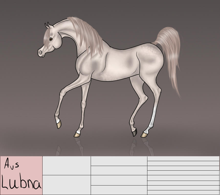 Lubna Old Ref By Ixtiramm On DeviantArt
