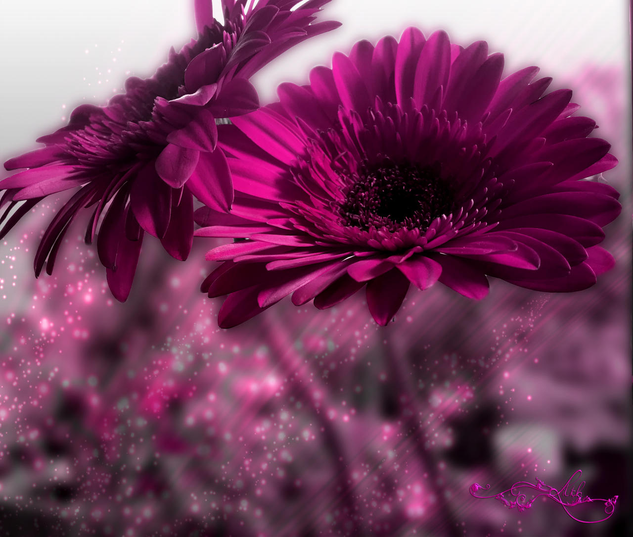 Magenta by LizDarkcroft on DeviantArt