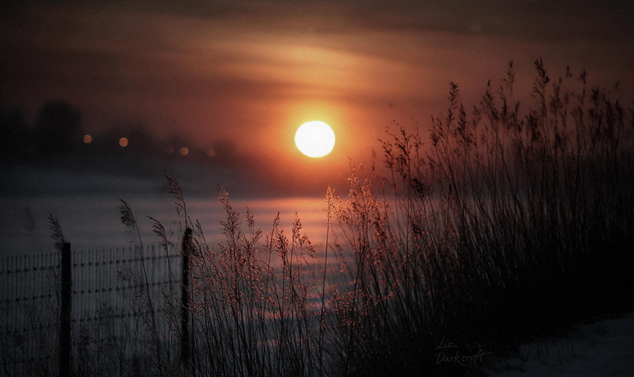 Where the Frost Remembers