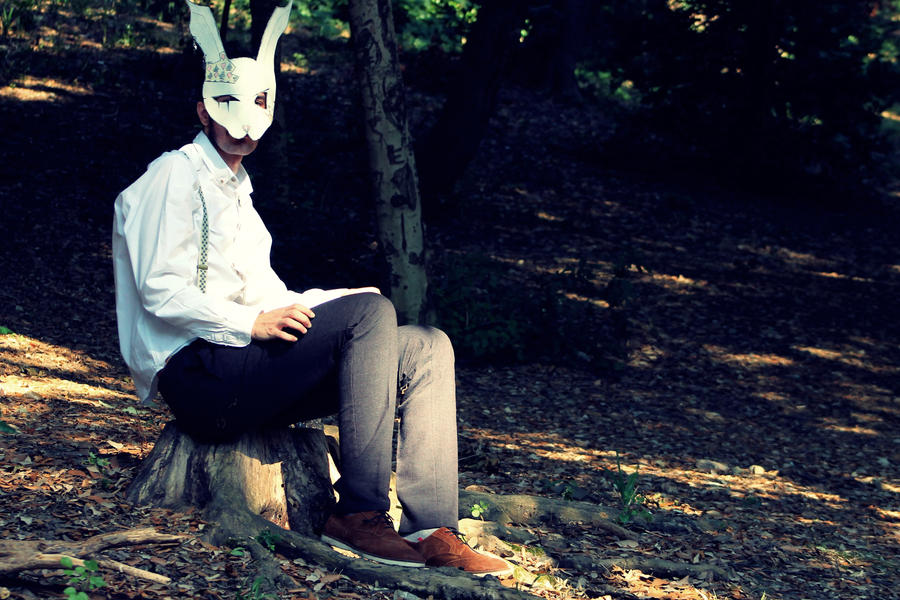 WTF Rabbit by cepliadam on DeviantArt