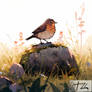 Small Brown Bird Standing On A Brown Rock 1