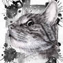 Kitty in black'n white watercolors and pencils