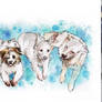 CUTE DOGGOS