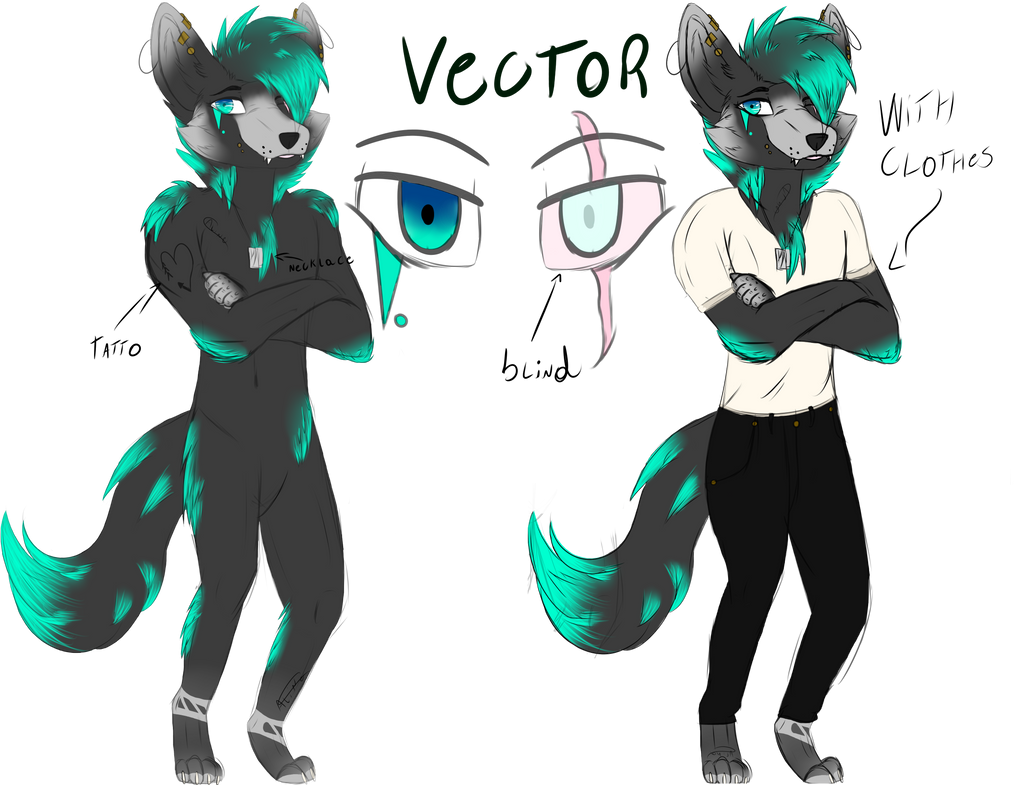 Vector Reference Sheet Vector Reference Sheet by BladeDeeHunter on DeviantArt