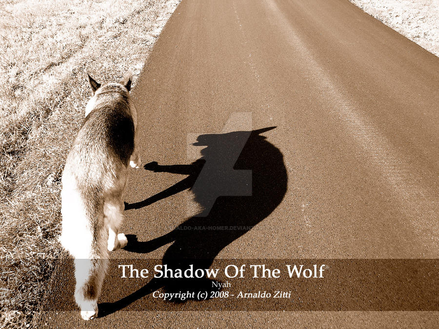 The Shadow Of The Wolf