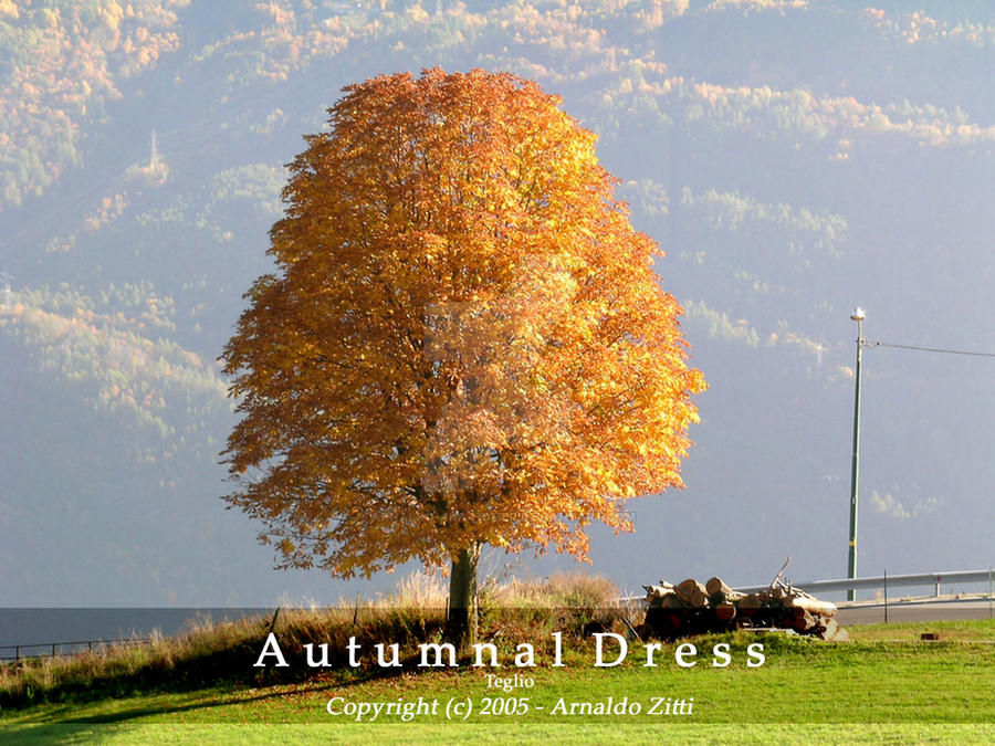 Autumnal Dress