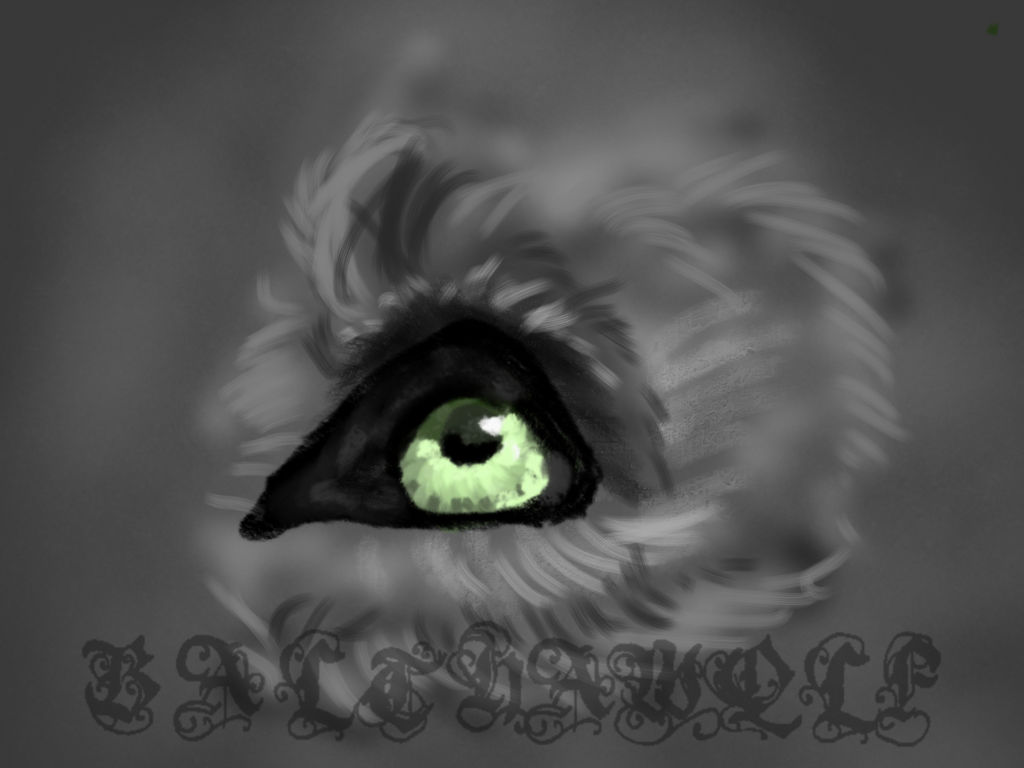 Fairly Local by BalthaWolf on DeviantArt