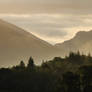 Trees and Hills Stock 1