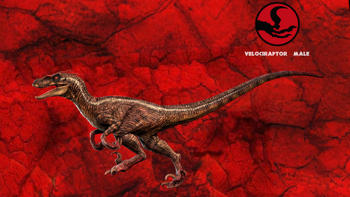 JP3 - Raptor Male Render by DracoWarrior3DArts on DeviantArt