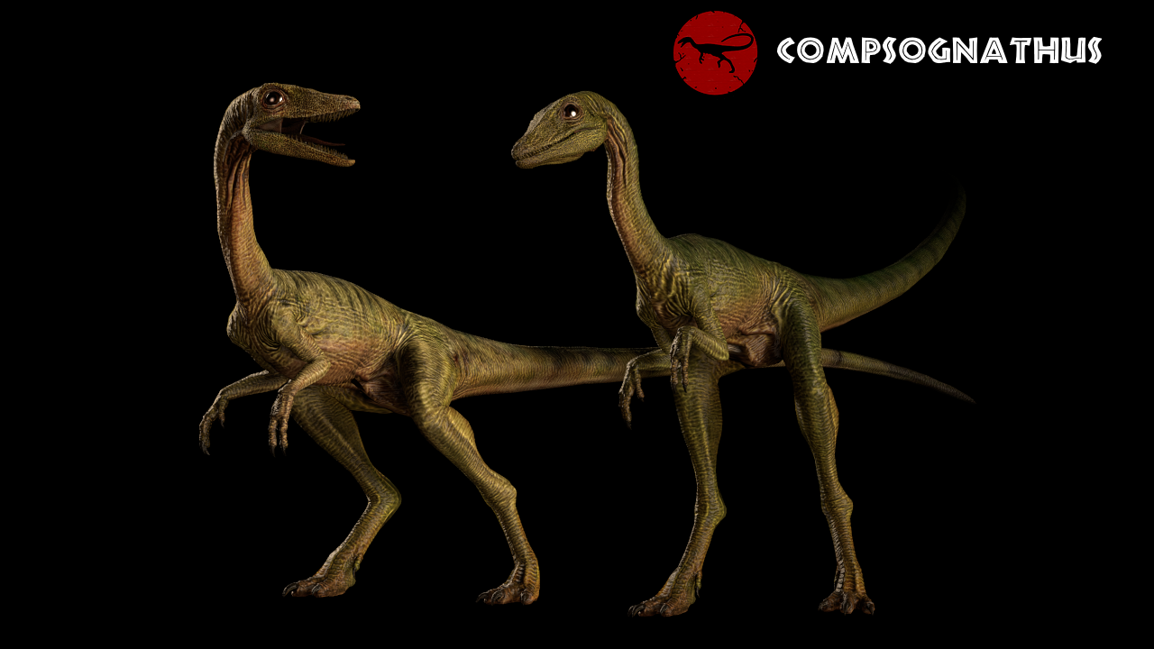 JP TLW - Compy render by DracoKhajiit on DeviantArt