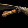 Walking with Dinosaurs - Ornithocheirus render 04