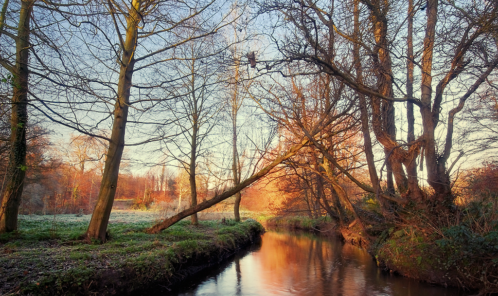 Minnowburn, Autumn Morning