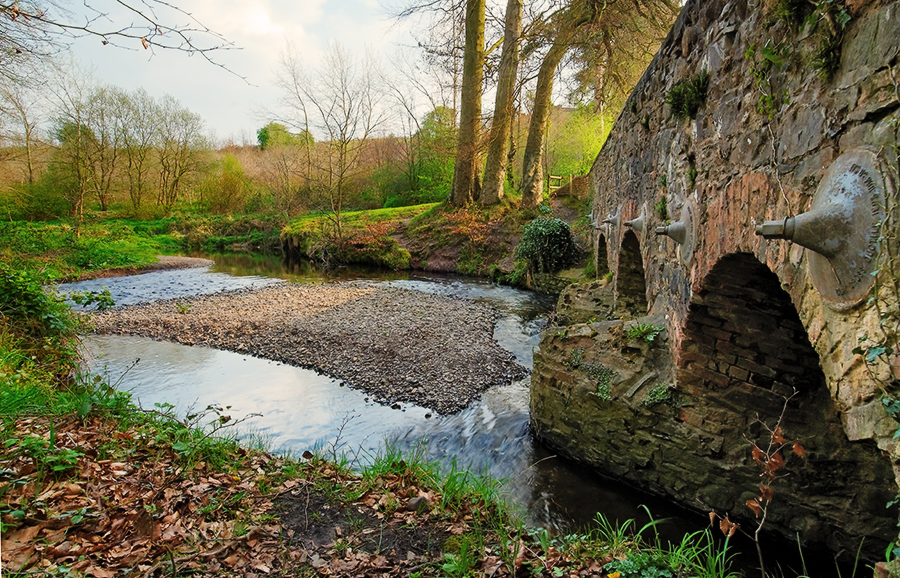 Minnowburn Bridge in Spring II